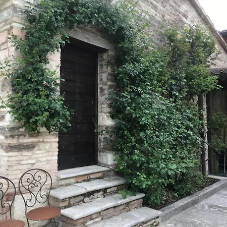 Appartement Gruccione *